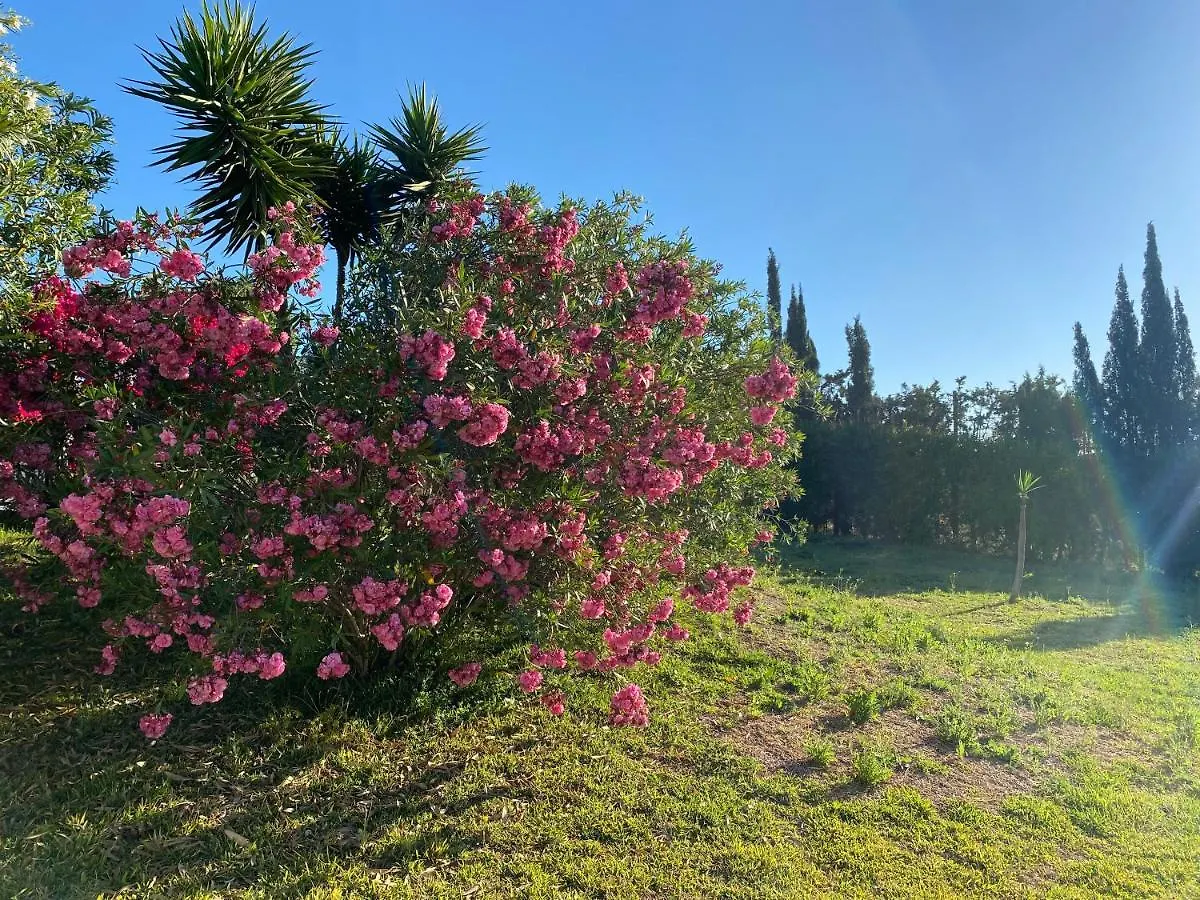 Casa Donny Bed & Breakfast Alhaurin el Grande Spain